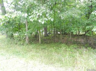 9815 Redwing St #18, Angola, NY 14006