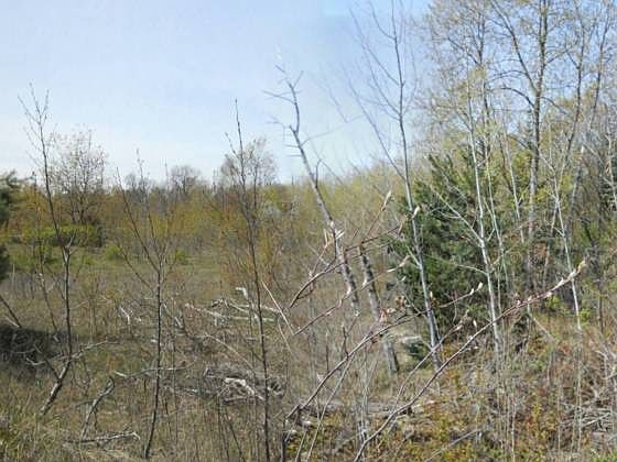 2nd image of Xxx Nellsville
