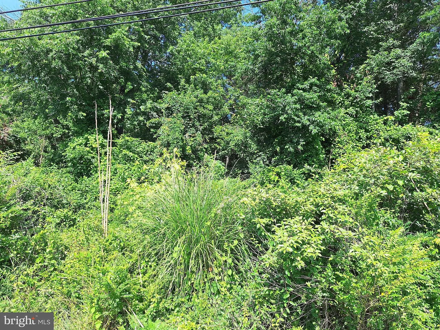 9515 Piscataway Rd photo 1