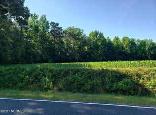 767 767/ Ac Rehobeth Church Rd, Clarkton, NC 28433