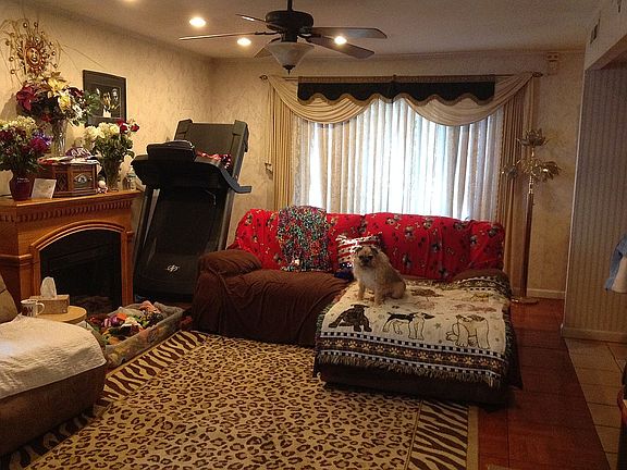 Dog is not included.