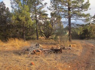 2177 Gingerbread Trl, Overgaard, AZ 85933