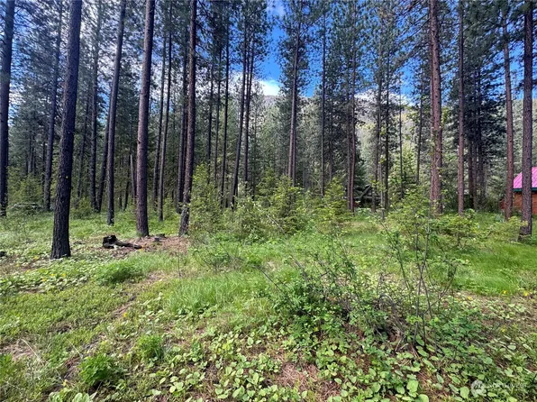 14 Liberty Lane, Winthrop, WA 98862