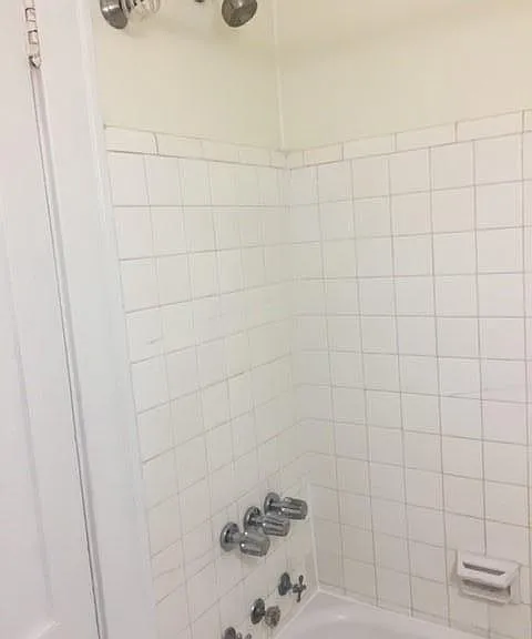 2523 Forbes St #4 — Photo 5