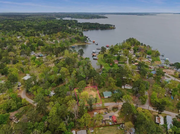 22221 Brierwood Dr, Frankston, TX 75763