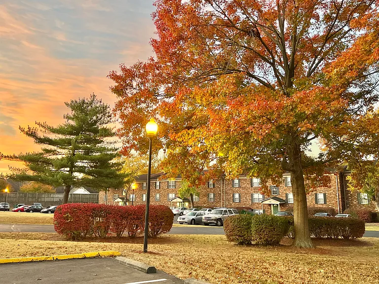 Countrybrook Apartments — Photo 86