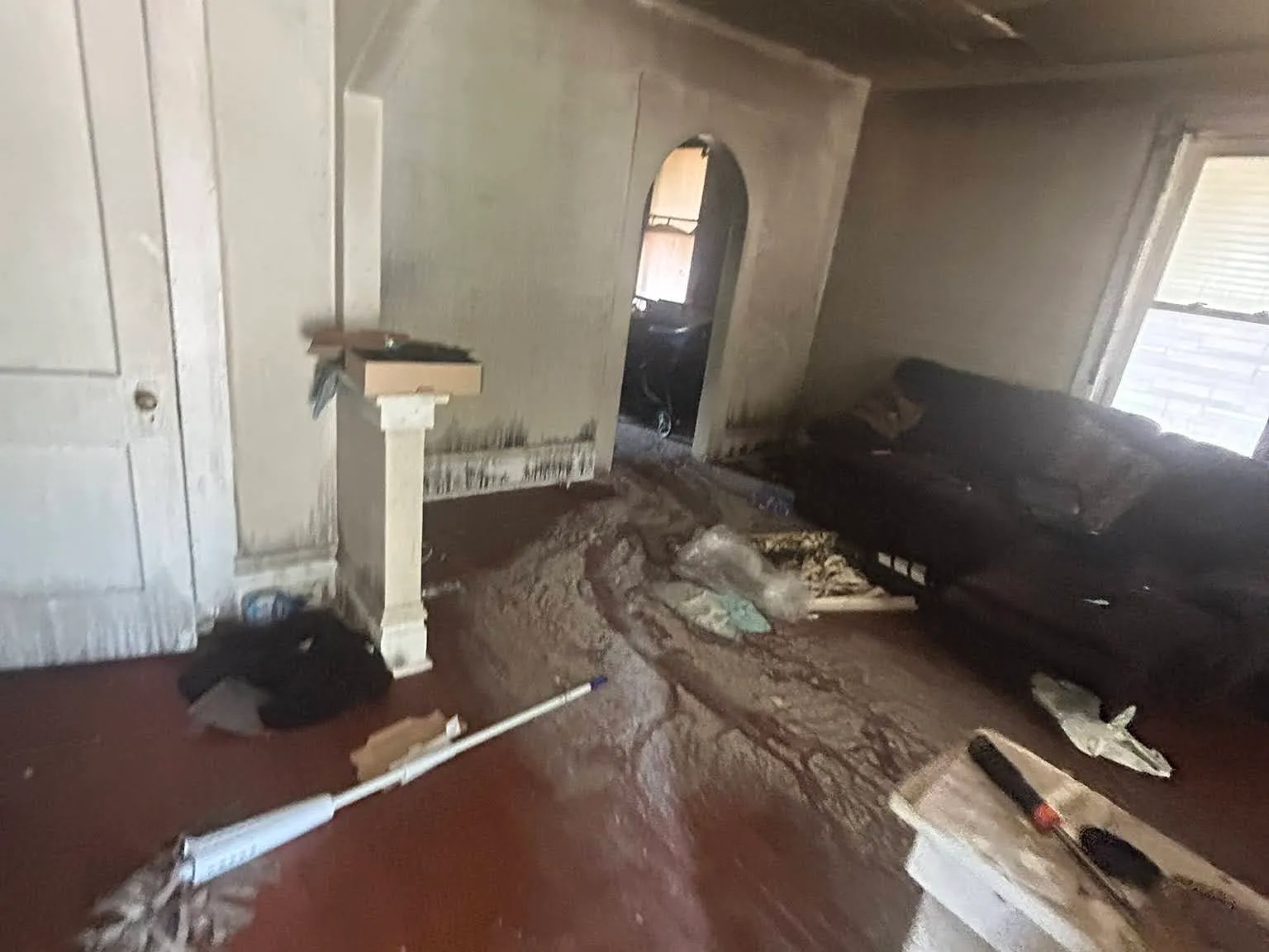 1 bed, 738 sqft, $250 — Photo 3