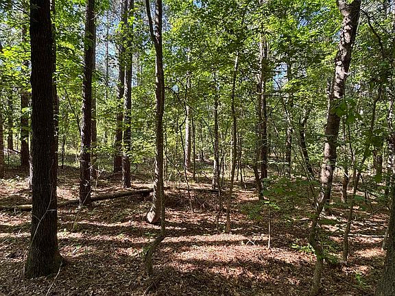 3rd image of TBD Pearson Rd.