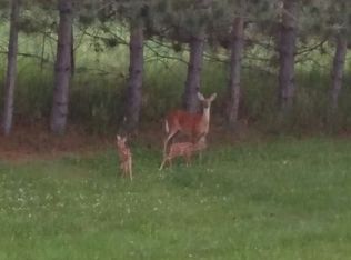 5600 McCauley Rd, Alger, MI 48610