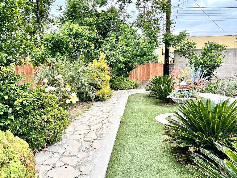 back yard