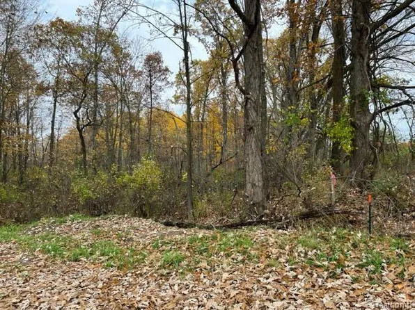 NULLB Dean Rd, Howell, MI 48855