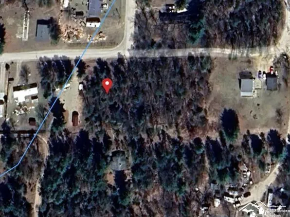 0 En Da Win Rd, Saint Helen, MI 48656
