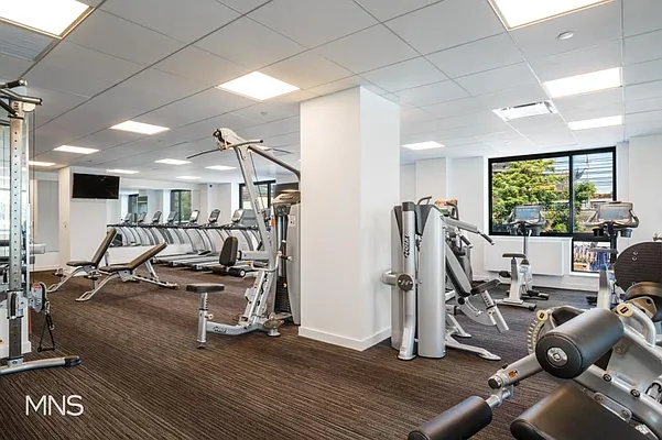 Rented by MNS Marketing | media 33