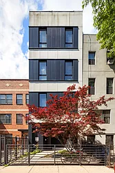 557 Lafayette Avenue