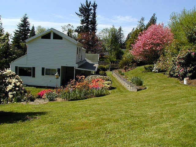 Backyard in spring from garden
