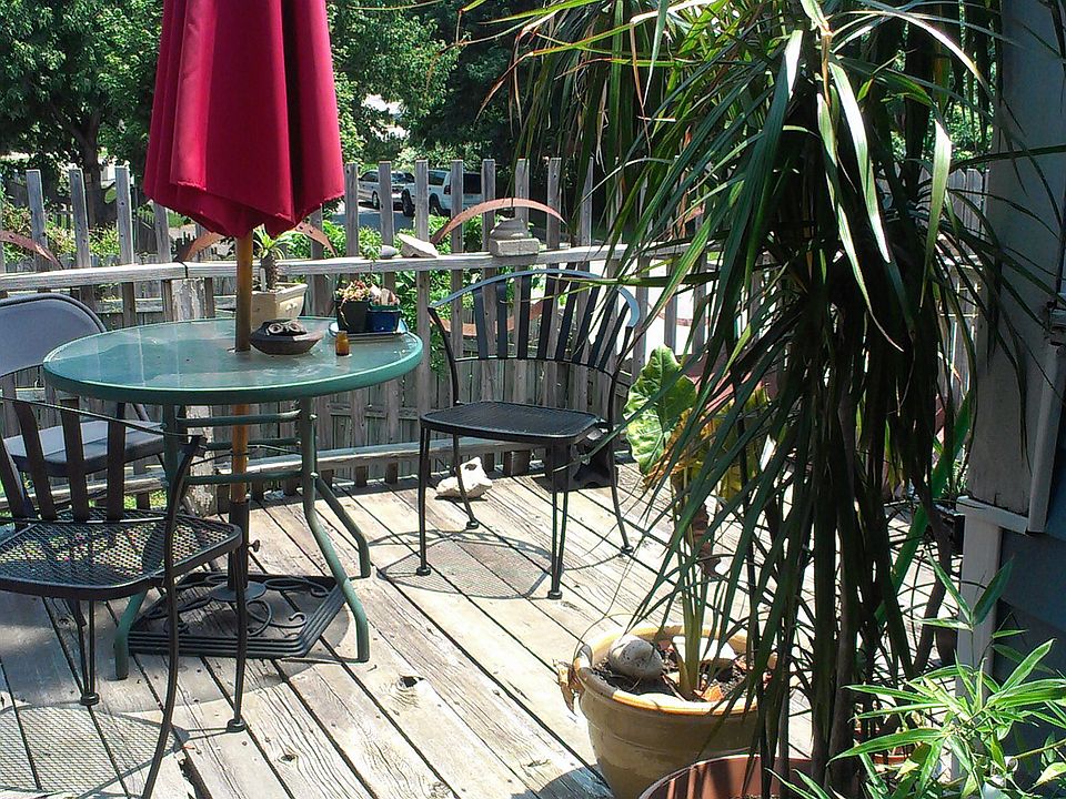 Back Patio