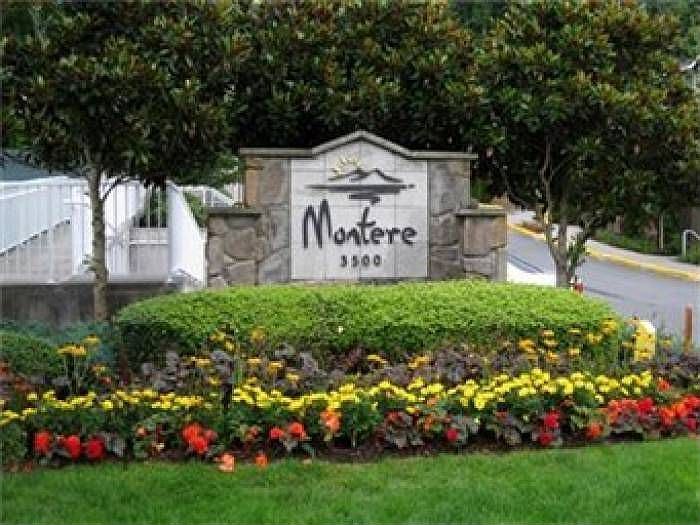 Montere