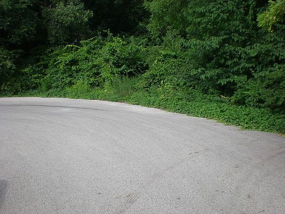 3rd image of 532 Bounty Dr NE