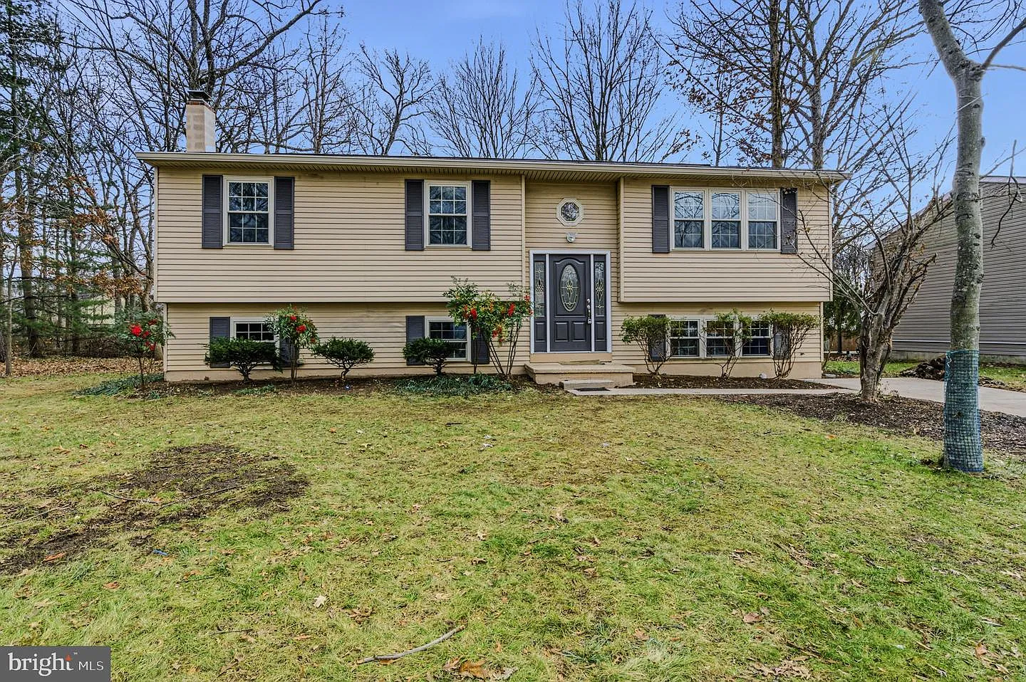 114 Fox Dr photo 1