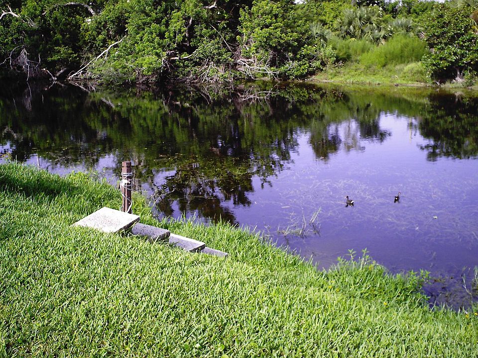 Skylake backyard