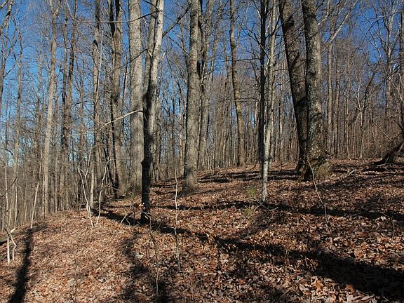 3rd image of 1404 N Campbell Station Rd