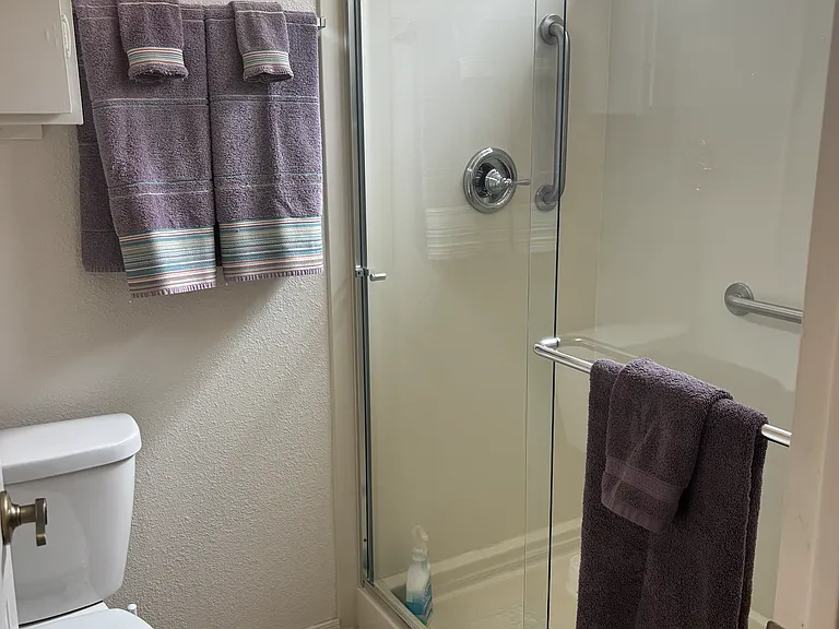 Master shower