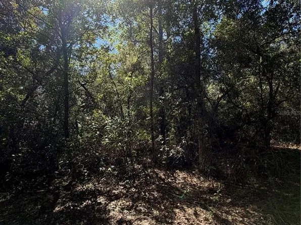 TBD SW 151ST PLACE 000, DUNNELLON, FL 34432