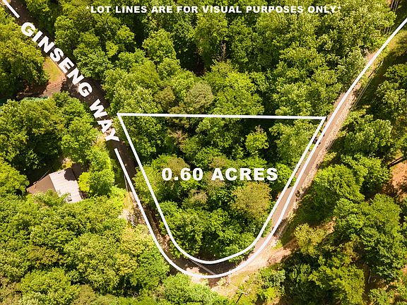 5th image of 3729 Ginseng Way