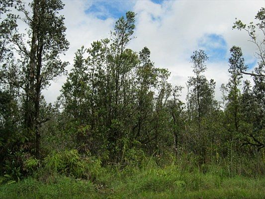 3rd image of LOT 6218 Puhala St Lot 6218