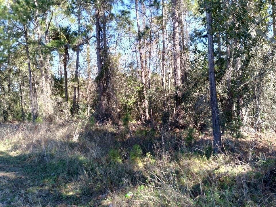 1st image of Poyner Rd