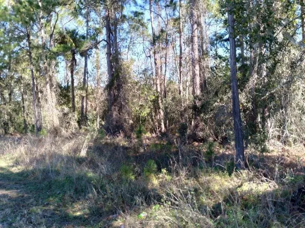 Poyner Rd, Polk City, FL 33868