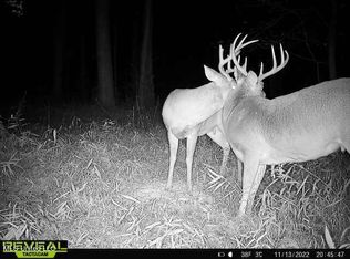 Spring Creek Rd LOT 5, Flora, MS 39071