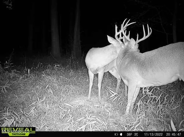 Spring Creek Rd Lot 5, Flora, MS 39071