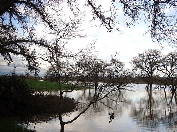 View from family room