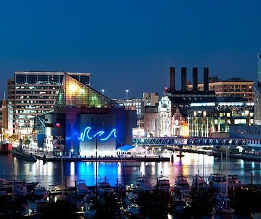 Harbour Skyline Views