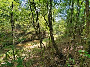 County Road 2834, Colmesneil, TX 75938