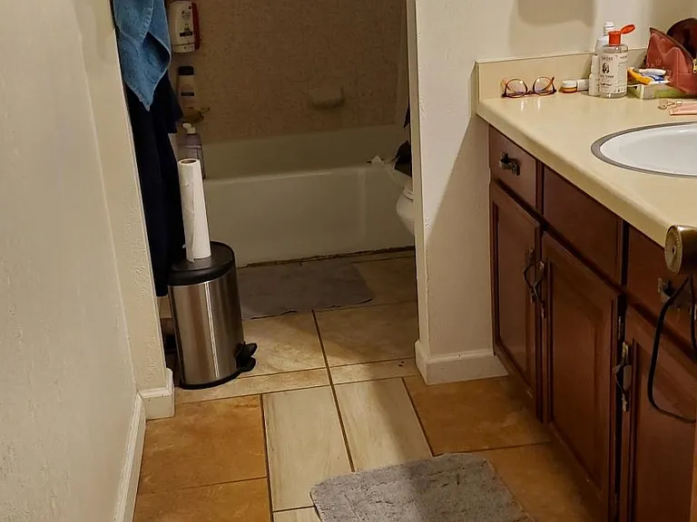 Hall bathroom with tub shower