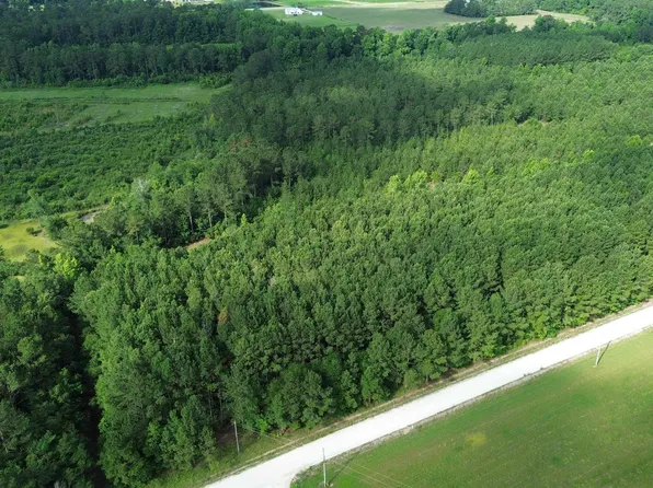 1453 Carriage Dr. #5 Acres, Loris, SC 29569