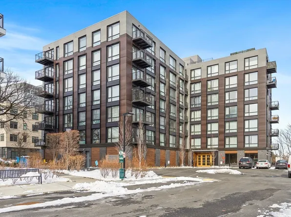 1 Nevins Hill Way #310, Brighton, MA 02135