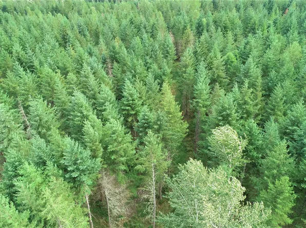 2520 393rd Street E, Eatonville, WA 98328