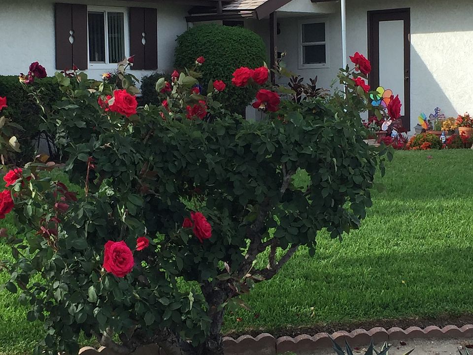 2nd image of 1003 Bromley Ave