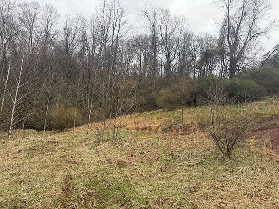 5th image of Homewood Rd