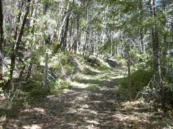 122 Acres Off Usfs Rd #46N76, Happy Camp, CA 96039