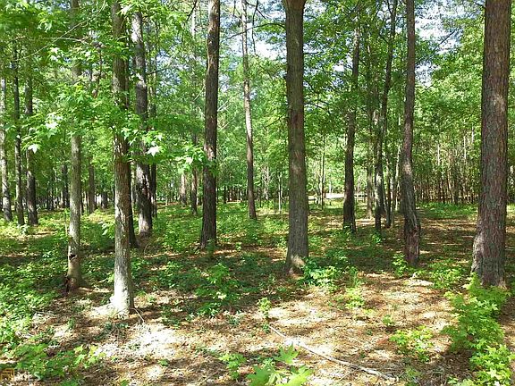 5th image of 0 Porterfield Dr #29