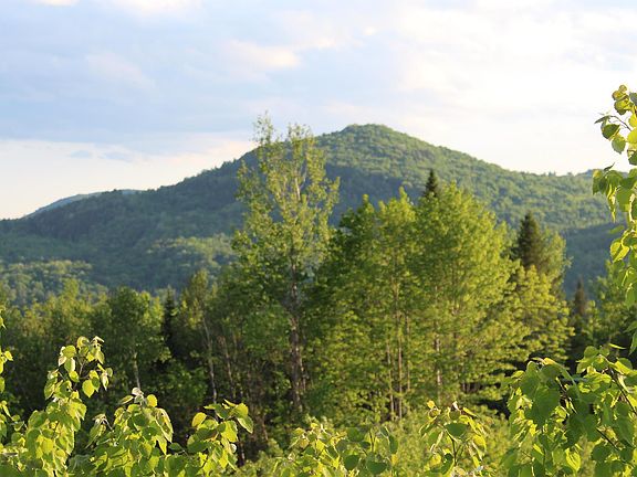3rd image of 0 Town Line Road