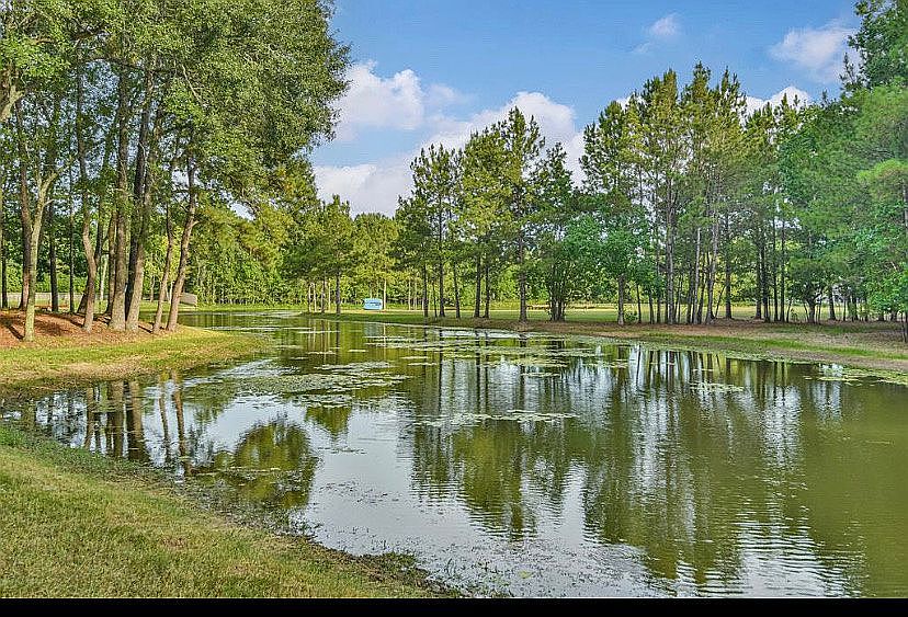 Beautiful pond in back yard.