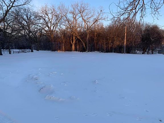 Backyard extends to trees