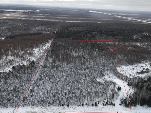 8624 Zim Rd, Zim, MN 55738