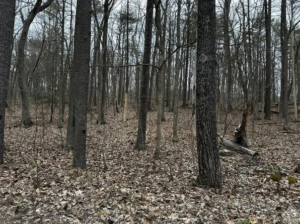 0 Lime Kiln Road, Athens, NY 12015