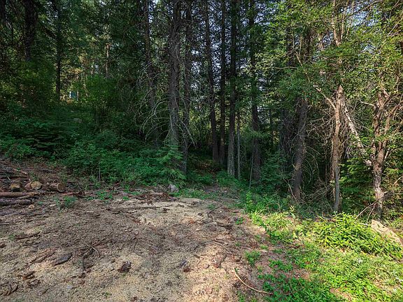 3rd image of 515 Collier View Rd